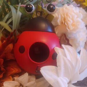 Lady Bug Bird House