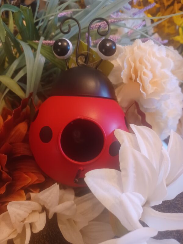 Lady Bug Bird House